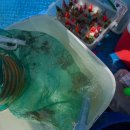 채비 | 봄 인천 배낚시 추천 인천 쭈꾸미 배낚시 후기 채비