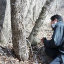 내린천약초 이미지