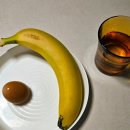 모이라짐 | 2026 고양하프마라톤 완주 후기 : 하프코스, 주차 꿀팁, 대회 분위기 총정리