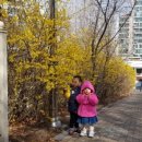 김포대로 804 (신선설농탕) 이미지