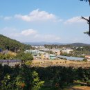 생이소리 이미지