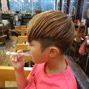 스펠라헤어메디컬 이미지