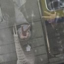 돌사랑 | 2025년 3월