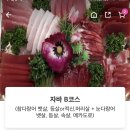자바참치