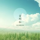 금강송에코리움(찜질방) 이미지