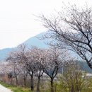 배영중학교 이미지