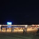 해운대전통시장 이미지