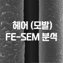 매치파인더