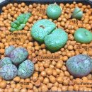 마옥농장 이미지