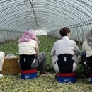 주민편의 의자 이미지