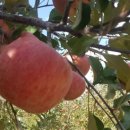 귀천농장 이미지