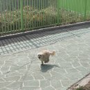 아차산로405번길 이미지