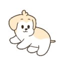 신평성심의원 이미지