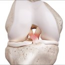 베스트병원 이미지