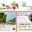 바람개비 딸기학교 이미지