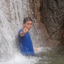 촉수엄금 이미지