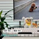 74 | 프리플로우 키보드 추천 아콘 AK74 B&amp;W 내돈내산 구매 후기