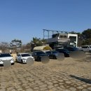 개떼월드 | [평택/개떼월드] 동탄 근처 야외운동장 애견카페 후기