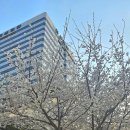 미래와희망산부인과의원 이미지