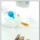 위드약품 이미지