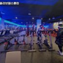 뽀빠이&올리브 헬스클럽 이미지