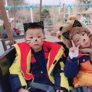 용호태권도 이미지