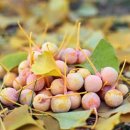 이광호 한의원 이미지