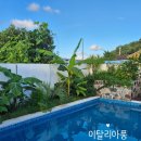 백운로 | 영종도 여름여행지 추천 | 이탈리아풍 수영장·불멍·감성캠핑 완벽코스! 리뷰후기!