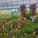 모산고인돌한옥민박 이미지