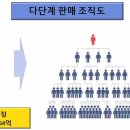 폰지