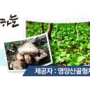 형제농장A 이미지