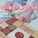 아기 원목 장난감 영유아 블럭 숲소리 교구 추천
