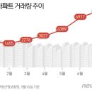 강남-299 이미지