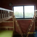 강화배꽃집 이미지