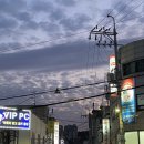 최강하늘태권도 이미지