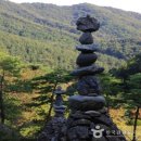 와우정사 이미지