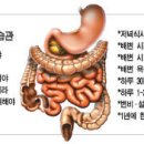 장 건강 위해 꼭 지켜야 할 10가지 생활습관 이미지