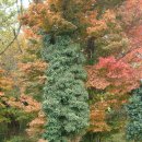 성산에코 이미지