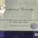 금성카모터스 네이버블로그