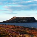 푸른 제주 이미지