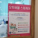 욜로오개 네이버블로그
