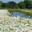 숲놀이 지도사 이미지