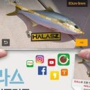 하라스 이미지