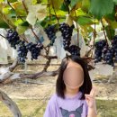 쏠티동산어린이집 이미지