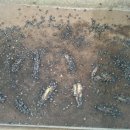 김기성 농장 이미지