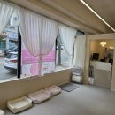 포근하개 이미지