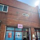 불광천길 | 벚꽃 데이트 코스 카페 “헨쇼” 내돈내산 솔직후기｜2026 불광천 벚꽃축제 일정 &amp; 불광천 카페 추천