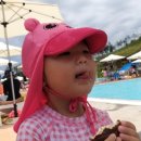 은정농원 이미지