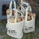 우리농산물판매장 | 2026 김제 지평선광활햇감자축제 다녀온 후기