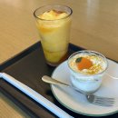 자유공원 축구장 옆 공중화장실 | 인생 최고의 직관을 제주에서 / 260315 FC서울 직관 겸 여행 후기 (vs 제주SK)